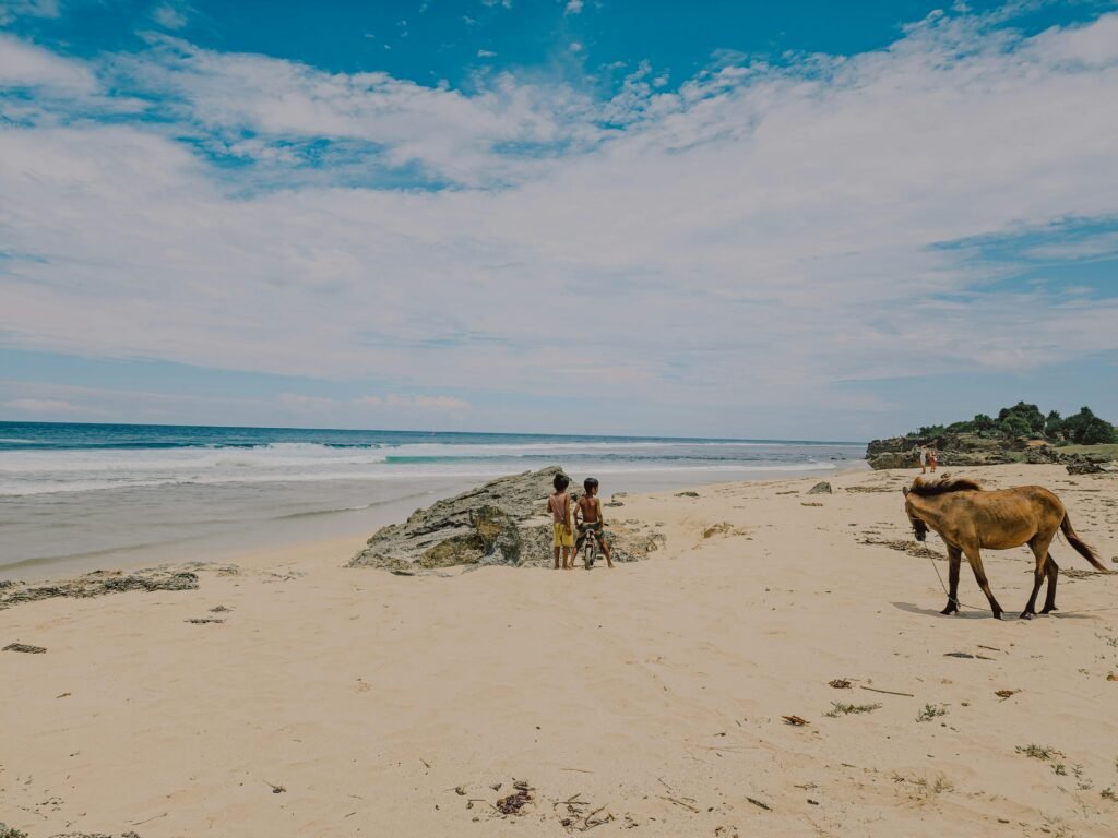 Children playing near rocks on a sandy beach while a horse roams freely under a clear blue sky.