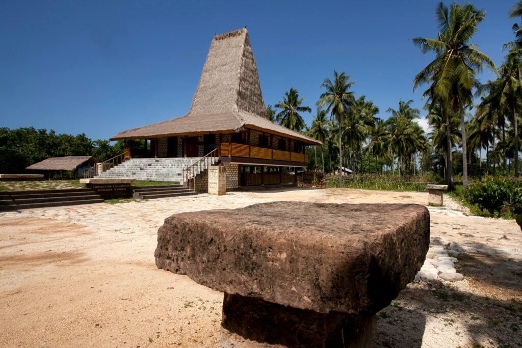 Explore a traditional Sumbanese house surrounded by lush palm trees under a bright blue sky.