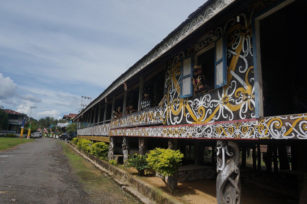 grass, landscape, in, outdoor, garden, kalimantan, dayak, kalimantan, kalimantan, dayak, dayak, dayak, dayak, dayak